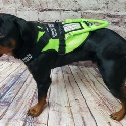 Spacer Mesh Service Dog Cushion Comfort Harness Vest -Puppy`s Store 703100 16 full 08530.1638911483