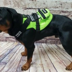 Spacer Mesh Service Dog Cushion Comfort Harness Vest -Puppy`s Store 703100 5 full 70157.1638911486