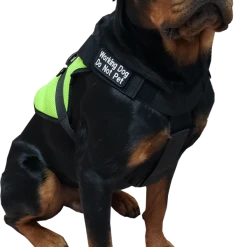 Spacer Mesh Service Dog Cushion Comfort Harness Vest -Puppy`s Store 703100 9 full 70262.1638911485
