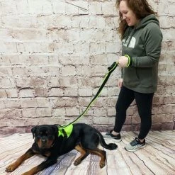 Spacer Mesh Built-In Poop Bag Leash 19 Spacer Mesh Built-In Poop Bag Leash -Puppy`s Store 703102 5 full 67915.1638911532