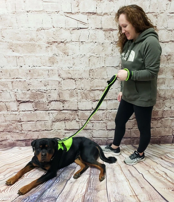 Spacer Mesh Built-In Poop Bag Leash 5 Spacer Mesh Built-In Poop Bag Leash - Image 5