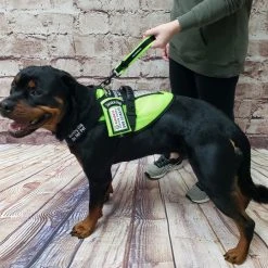 Spacer Mesh Clip-On Service Dog Zippered ID Pouch -Puppy`s Store 703104 4 full 45828.1638911528