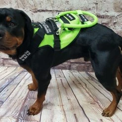 Spacer Mesh Vest Clip-On Small Bag -Puppy`s Store 703107 11 full 76837.1638911518