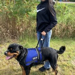 Rigid Clip-On Service Dog Bridge Handle W/Chrome Service Dog ID Band - 12" -Puppy`s Store 704501 9 full 66369.1638911504