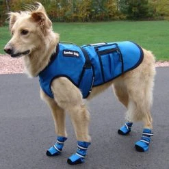 Cold Weather Service Dog Coat -Puppy`s Store 707327 10 full 60955.1638911373