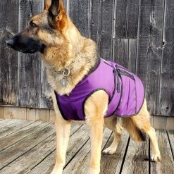 Cold Weather Service Dog Coat -Puppy`s Store 707327 12 full 96735.1638911387