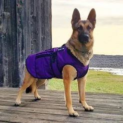 Cold Weather Service Dog Coat -Puppy`s Store 707327 13 full 59687.1638911383
