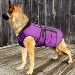 Cold Weather Service Dog Coat -Puppy`s Store 707327 15 full 28895.1638911374