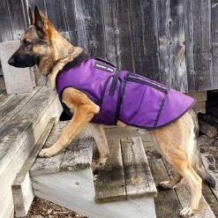 Cold Weather Service Dog Coat -Puppy`s Store 707327 8 full 05505.1638911379