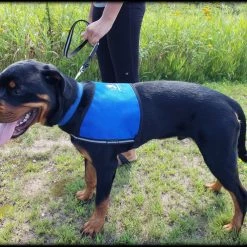 Custom Logo/Text Service Dog Starter Cape -Puppy`s Store 707510 5 full 55013.1644616721