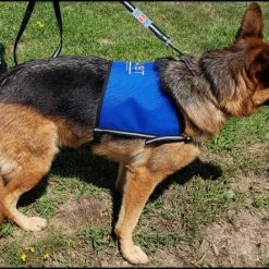 Custom Logo/Text Service Dog Starter Cape -Puppy`s Store 707510 9 full 50317.1644616721