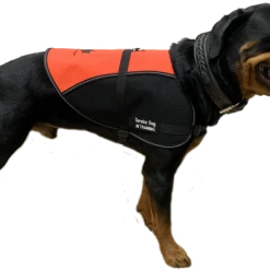 Custom Logo/Text Service Dog Vest - Hybrid Mesh Vest -Puppy`s Store 707512 5 full 56292.1644616554