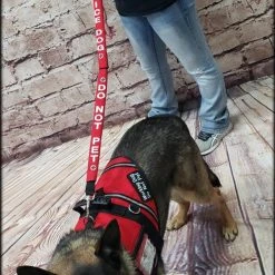 Service Dog Identification Leash Wrap -Puppy`s Store 707515 9 full 38619.1638911521