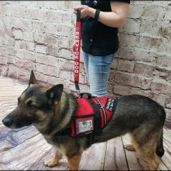 Service Dog Identification Leash Wrap Set + Free Leash -Puppy`s Store 707516 5 full 68534.1638911504