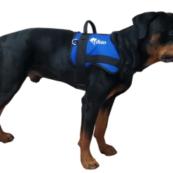 Custom Logo Service Dog Form Fitted Active Cut Vest -Puppy`s Store 707519 12 full 48398.1644616370