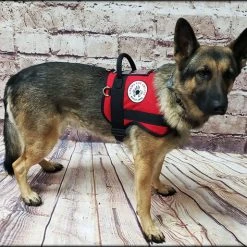 Custom Logo Service Dog Form Fitted Active Cut Vest -Puppy`s Store 707519 3 full 91211.1638911489