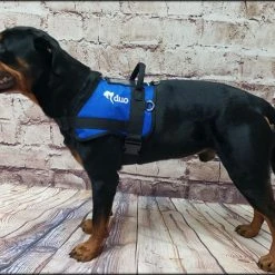 Custom Logo Service Dog Form Fitted Active Cut Vest -Puppy`s Store 707519 5 full 12917.1638911493