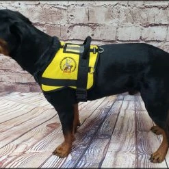 Custom Logo Service Dog Form Fitted Active Cut Vest -Puppy`s Store 707519 9 full 89819.1644616370