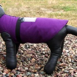 Soft Vested Small Service Dog Harness -Puppy`s Store 707521 7 full 99693.1638911345