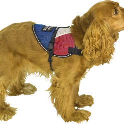 Patriotic Small Dog Mesh Vest -Puppy`s Store 7075221X full 20544.1638911500