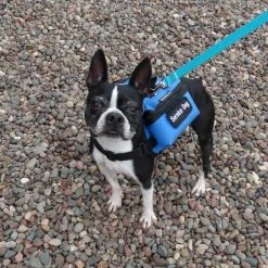 Small Dog Backpack Vest -Puppy`s Store 707524 15 full 79848.1638911457