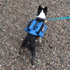 Small Dog Backpack Vest -Puppy`s Store 707524 17 full 02075.1638911460