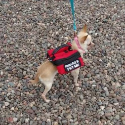 Small Dog Backpack Vest -Puppy`s Store 707524 20 full 23932.1638911451