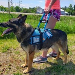 Mesh Vest With Handle & Clear ID Pocket -Puppy`s Store 707527 110 full 45313.1655118351