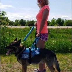 Mesh Vest With Handle & Clear ID Pocket -Puppy`s Store 707527 111 full 29707.1655118351