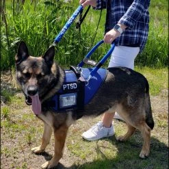 Mesh Vest With Handle & Clear ID Pocket -Puppy`s Store 707527 112 full 41006.1655118351