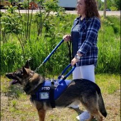 Mesh Vest With Handle & Clear ID Pocket -Puppy`s Store 707527 113 full 82254.1655118351