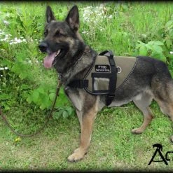 Mesh Vest With Handle & Clear ID Pocket -Puppy`s Store 707527 1 full 44725.1655118351