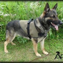 Mesh Vest With Handle & Clear ID Pocket -Puppy`s Store 707527 2 full 70519.1655118351