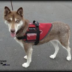 Mesh Vest With Handle & Clear ID Pocket -Puppy`s Store 707527 3 full 88830.1655118351