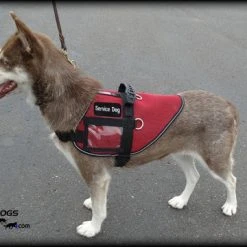 Mesh Vest With Handle & Clear ID Pocket -Puppy`s Store 707527 5 full 27154.1655118350