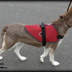 Mesh Vest With Handle & Clear ID Pocket -Puppy`s Store 707527 6 full 57026.1655118351