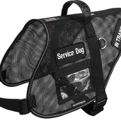 Mesh Vest With Handle & Clear ID Pocket -Puppy`s Store 707527BK full 49280.1655118351