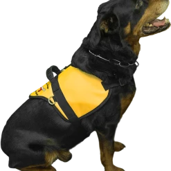 Custom Logo Padded Harness Vest -Puppy`s Store 707531 1 full 41838.1638911480