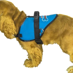 Custom Logo Padded Harness Vest -Puppy`s Store 707531 6 full 99759.1658343244