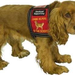 Custom Logo Cape Dog Vest -Puppy`s Store 707532 8 full 45438.1638911493