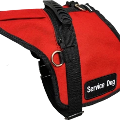 Padded Harness Vest With Zippered Pocket -Puppy`s Store 707534 102 full 91758.1638911488