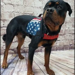 Chest Strap Identification Cover - All Colors - Custom Text -Puppy`s Store 707535 12 full 75687.1638911500