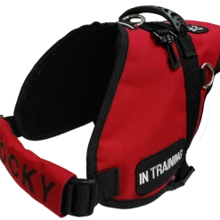 Chest Strap Identification Cover - All Colors - Custom Text -Puppy`s Store 707535 14 full 73246.1638911502