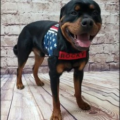 Chest Strap Identification Cover - All Colors - Custom Text -Puppy`s Store 707535 15 full 29011.1638911504