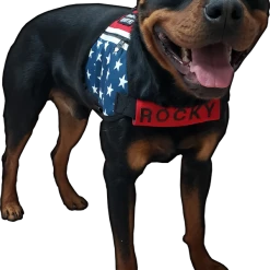 Chest Strap Identification Cover - All Colors - Custom Text -Puppy`s Store 707535 3 full 01492.1638911503