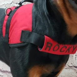 Chest Strap Identification Cover - All Colors - Custom Text -Puppy`s Store 707535 5 full 17858.1638911500