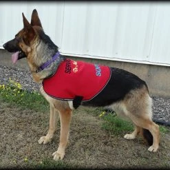 Service Dog Custom Do Not Distract Jacket/Vest -Puppy`s Store 707546 28 full 18077.1643828236