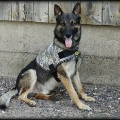 Service Dog Custom Do Not Distract Jacket/Vest -Puppy`s Store 707546 29 full 89820.1643828236