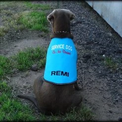 Service Dog Custom Do Not Distract Jacket/Vest -Puppy`s Store 707546 34 full 91141.1643828236