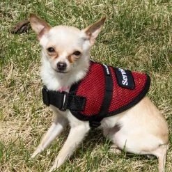 Mesh Service Dog Vest - Sm/Med Dog -Puppy`s Store 707547 7 full 66271.1638911381